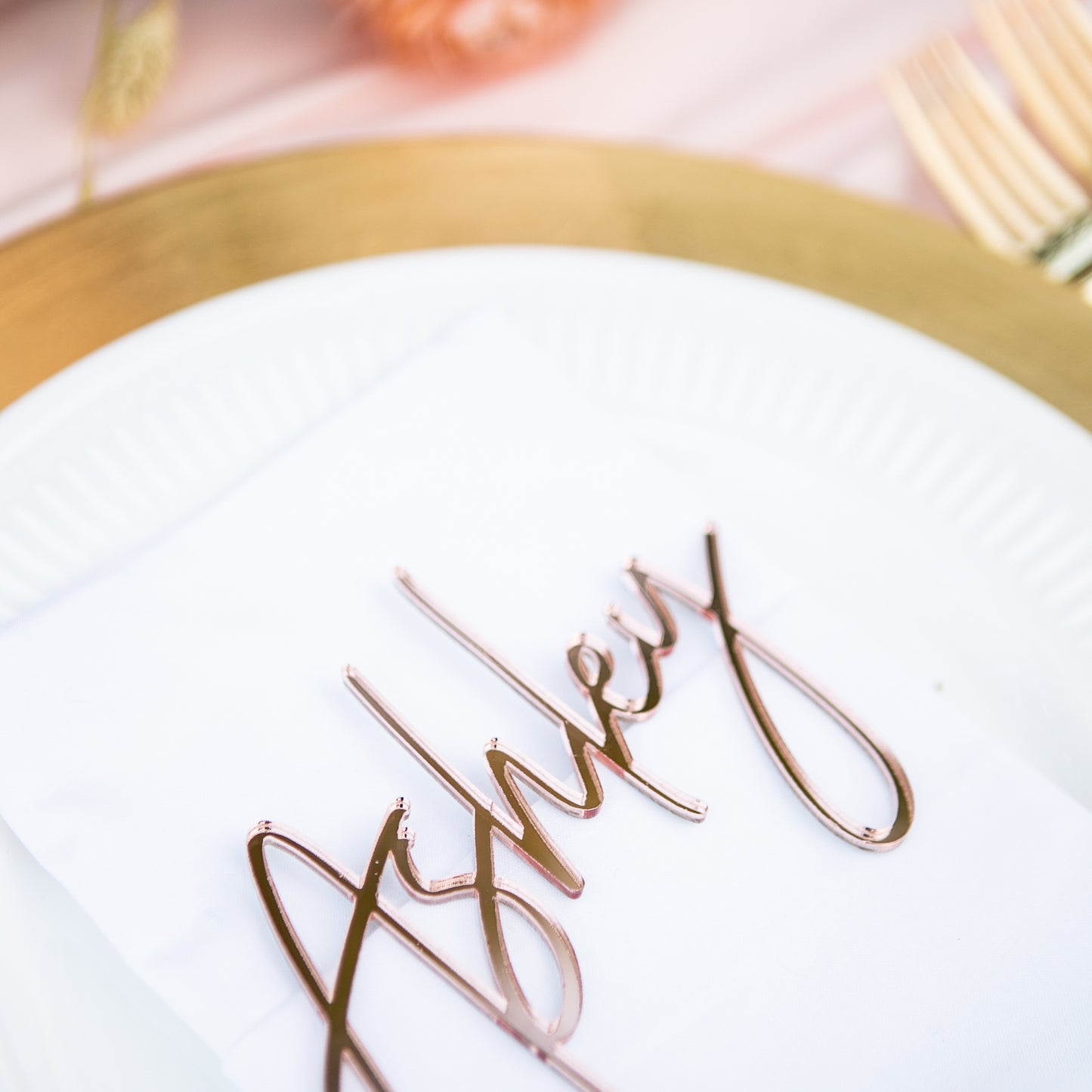 Place Card Name Tags for Plate Names Bridal Shower Dinner Party Plate Names Table Decor Name Tags Placecards for Party Table Signs