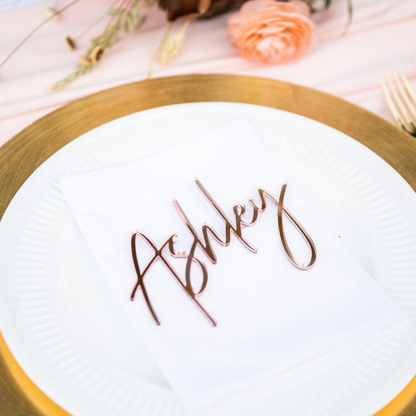 Place Card Name Tags for Plate Names Bridal Shower Dinner Party Plate Names Table Decor Name Tags Placecards for Party Table Signs