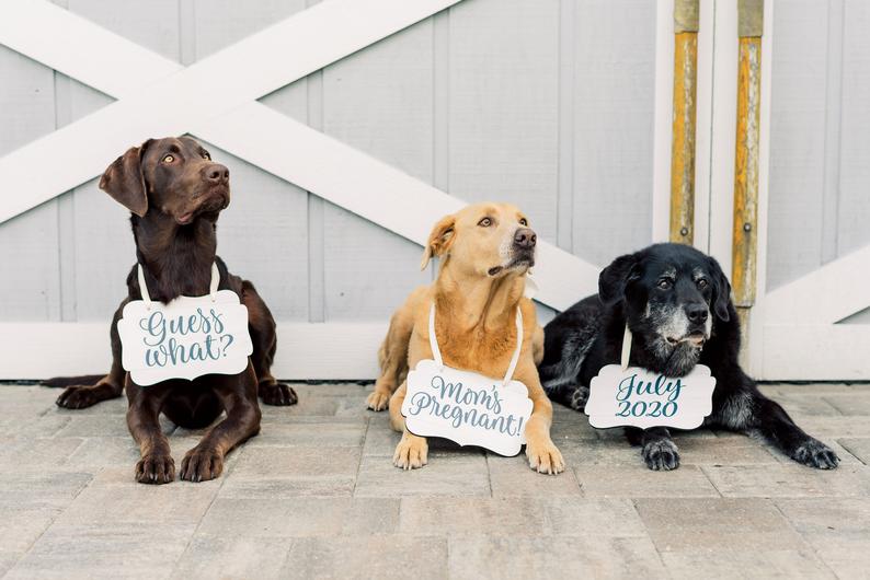 Pet Signs for Pregnancy Announcement - Wedding Decor Gifts