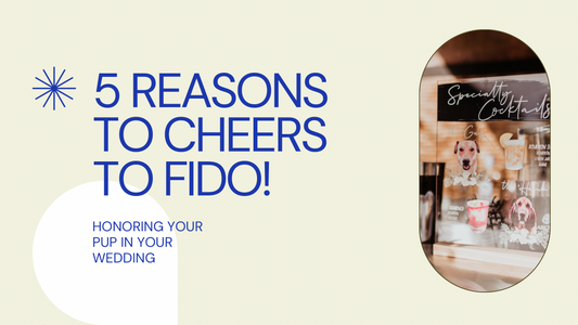 5 Reasons to Cheers to Fido!