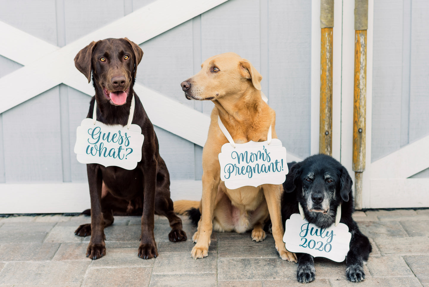 Pet Signs for Pregnancy Announcement - Wedding Decor Gifts