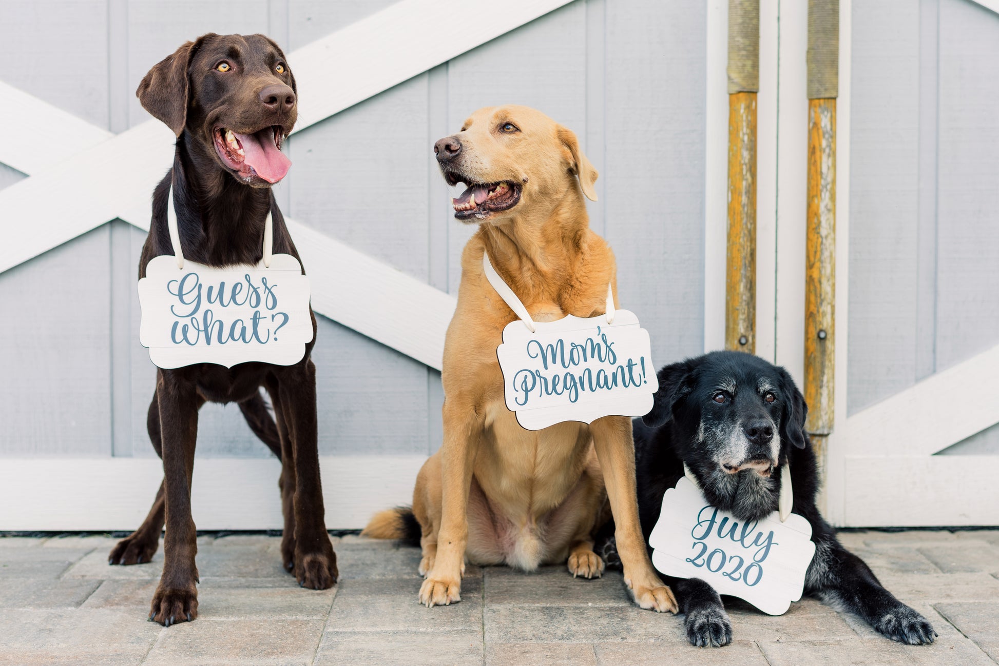 Pet Signs for Pregnancy Announcement - Wedding Decor Gifts