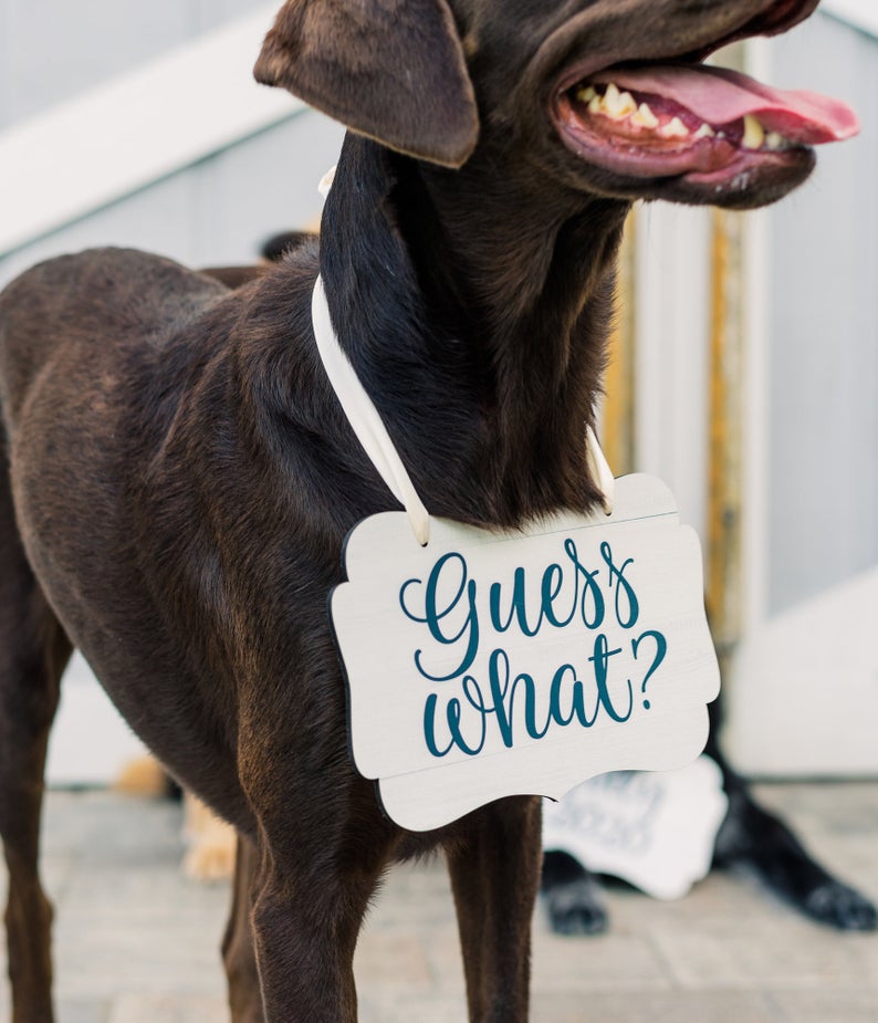 Pet Signs for Pregnancy Announcement - Wedding Decor Gifts