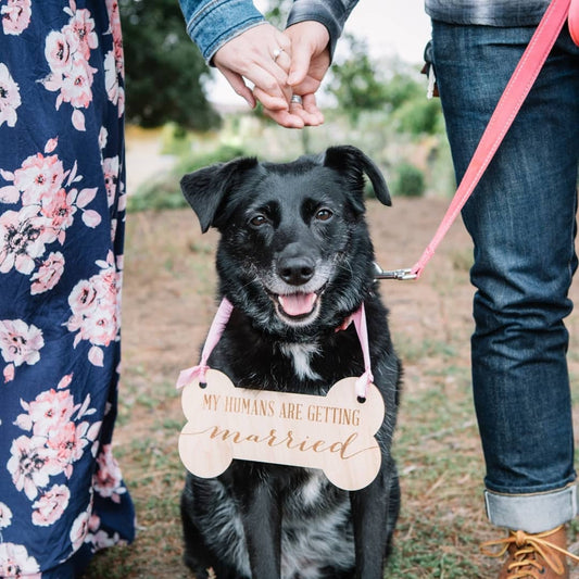 Pet Sign for Engagement Save the Date Photography - Wedding Decor Gifts