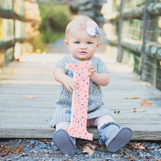 baby first birthday photo prop 1 sign for milestone photos